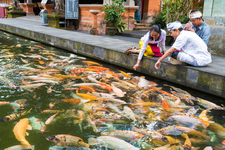 Bali, Indonesia - May 1, 2017: Balinese people feeding the koi carps at Tirta Empul Temple, a Hindu Balinese water temple famous for its holy spring water near Tampaksiring, Bali, Indonesiaのeditorial素材