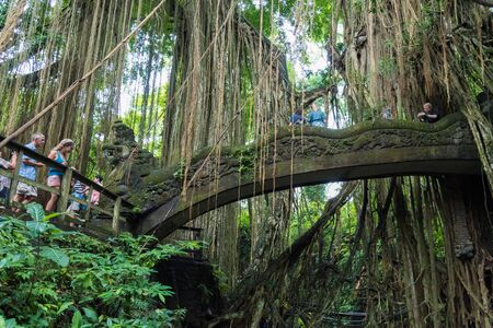 Bali, Indonesia - May 2, 2017: Macaque monkeys on Dragon Bridge at Ubud Sacred Monkey Forest Sanctuary, a nature reserve and Hindu temple complex in Ubud, Bali, Indonesia.のeditorial素材