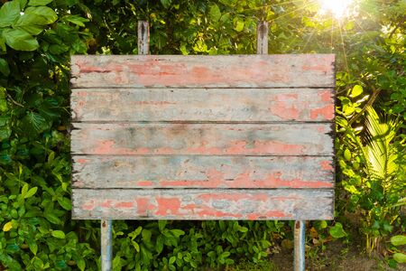Old vintage empty board sign in the forrest, with sun rays in background. Cpy space available for text or messageの写真素材