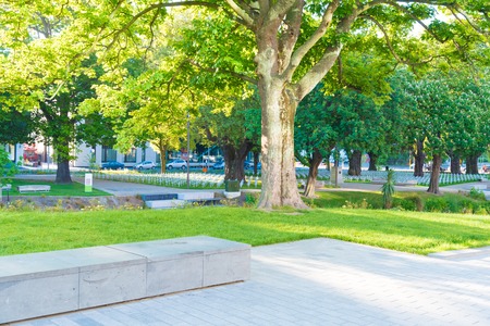 Christchurch, New Zealand - October 31, 2017 : White crosses on the banks of the Avon River are marking the 100th anniversary of the battle for Passchendaele in World War 1 in 12 October 1917.のeditorial素材
