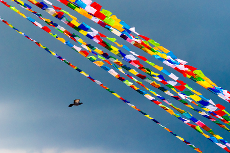 Traditional buddhist prayer flags over blue sky background, are used to bless the surrounding countryside and to promote peace, compassion, strength, and wisdomの写真素材