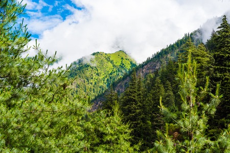 Nature view in Annapurna Conservation Area, a hotspot destination for mountaineers and Nepal's largest protected area.の写真素材