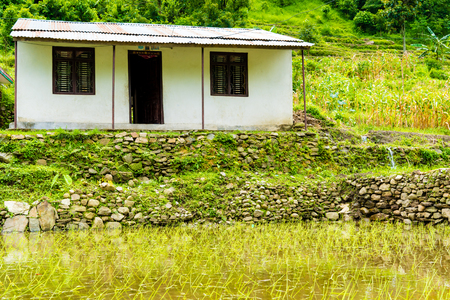 Annapurna Conservation Area, Nepal - July 18, 2018 : Rice paddy field in front of nepalese house in Annapurna Conservation Area, Nepal's largest protected area.のeditorial素材