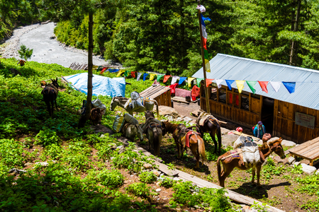 Annapurna Conservation Area, Nepal - July 19, 2018 : Local restaurant lodge on the Annapurna trekking circuit, a hotspot destination for mountaineers and Nepal's largest protected areaのeditorial素材