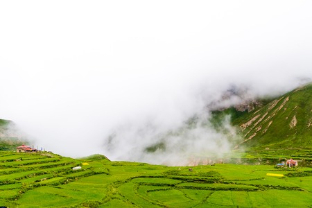 Green terraced fields and traditional architecture in the ancient Tibetan Nar village, Annapurna Conservation Area, Nepalの写真素材