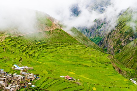 Green terraced fields and traditional architecture in the ancient Tibetan Nar village, Annapurna Conservation Area, Nepalの写真素材