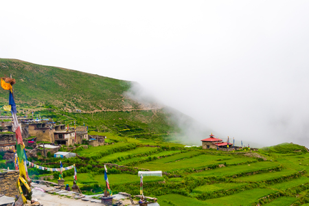 Nar village, Annapurna Conservation Area, Nepal - July 21, 2018 : Green terraced fields and traditional architecture in the ancient Tibetan Nar village, Annapurna Conservation Area, Nepalのeditorial素材