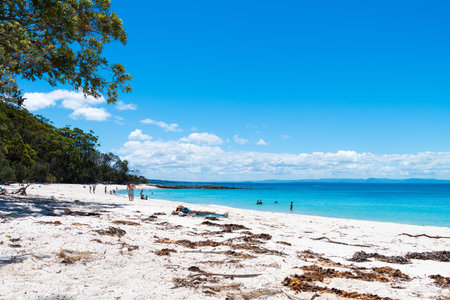 Cave Beach, NSW, Australia-December 23, 2018: People enjoying the sunny weather at the tranquil, white-sand Murrays Beach in Jervis Bay, Booderee National Park, NSW, Australiaのeditorial素材