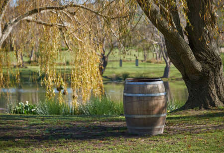 Oak wine barrel sitting in a meadowの写真素材