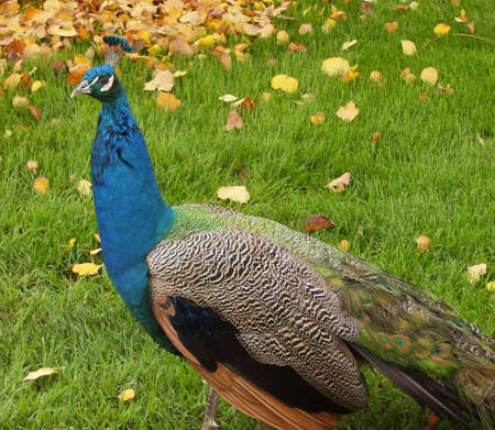 Look at Me!の写真素材