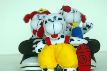 D Pupsの写真素材