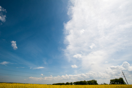 green field with skyの写真素材