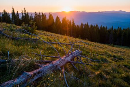 summer landscape mountainsの写真素材