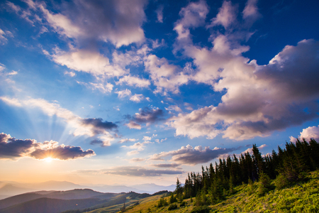 Summer landscape in mountainsの写真素材