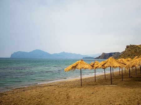 the beach umbrellasの写真素材