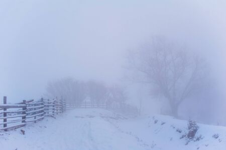 Winter landscape in mountainsの写真素材
