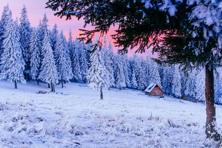 winter landscape trees in frostの写真素材