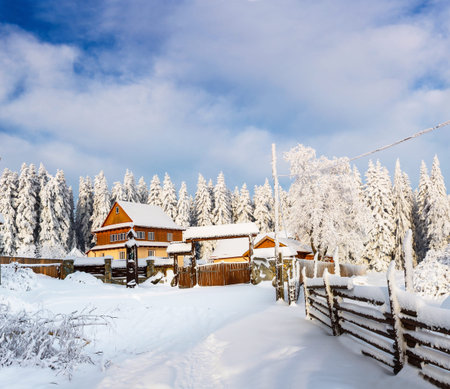 fabulous winter landscape