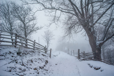 Beautiful winter landscape