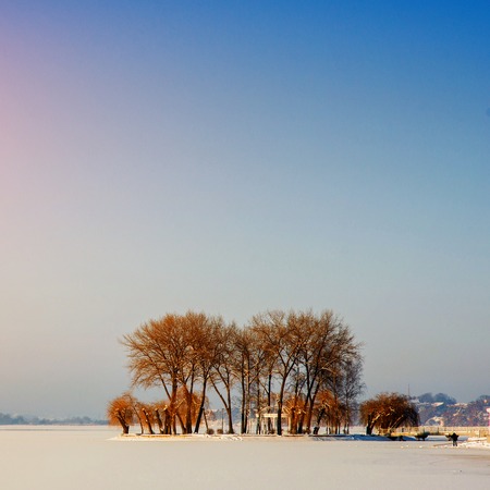 island with trees in the midst of a frozen lakeの写真素材