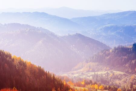 Scenic Autumn Landscapeの写真素材