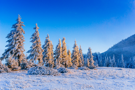 fabulous winter landscapeの写真素材