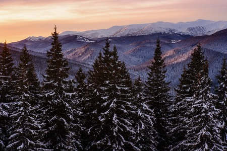 Beautiful winter landscapeの写真素材