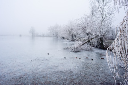 Frozen moor lake in winterの写真素材
