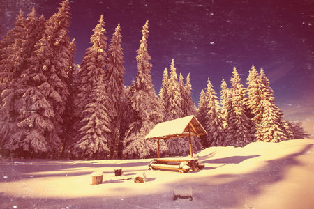 magical winter snow covered treeの写真素材