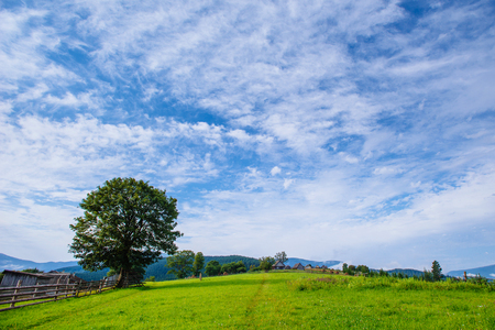 Blue Sky with a Beautiful Meadowの写真素材