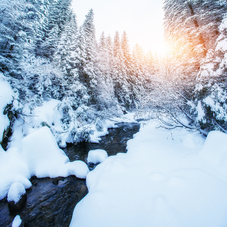 Mountain stream in winterの写真素材