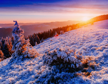 majestic sunset in the winter