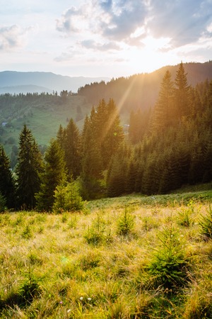 Magic sunset in the mountainsの写真素材