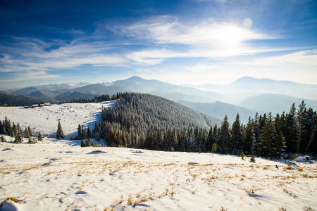 Beautiful winter landscapeの写真素材