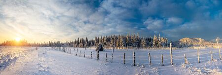 fantastic blue sky and snow-covered treesの写真素材