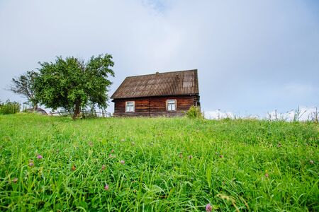 landscape with colorful tree and houseの写真素材