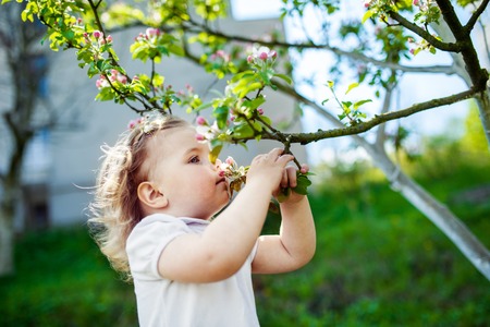 child at the blossom treesの写真素材