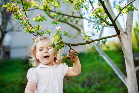 child at the blossom treesの写真素材