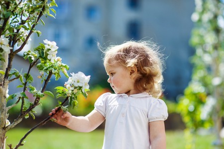 child at the blossom treesの写真素材
