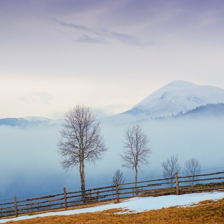 Spring day in the mountains of Ukraine.の写真素材
