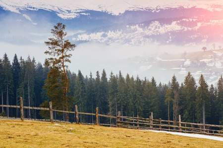 the beginning of spring in the mountainsの写真素材