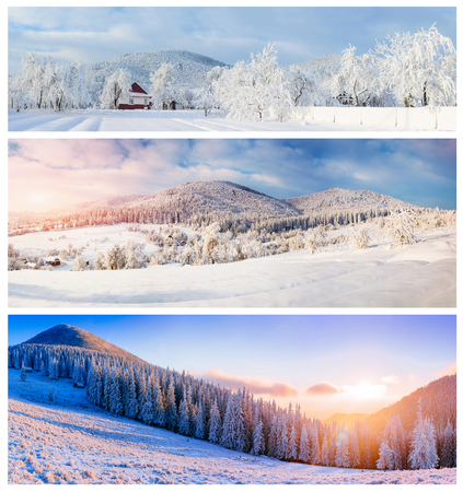 Collage of winter landscapesの写真素材