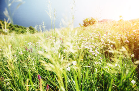Fantastic views of the trail on the hill leading to the picturesque lake.の写真素材