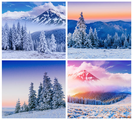 Winter Alps collageの写真素材