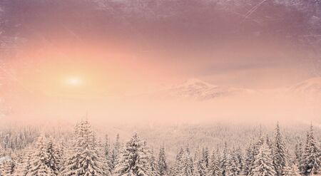 Winter landscape with snow in mountains Carpathians, Ukraine. Viの写真素材