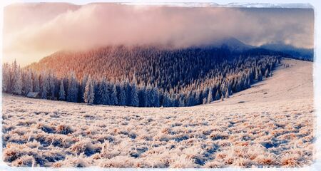 Winter landscape with snow in mountains Carpathians, Ukraine. Viの写真素材