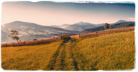 grass field in the mountains - Vintage effect.の写真素材