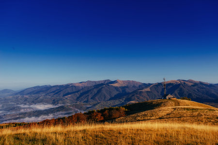 autumn alley. Dramatic morning scenery Carpathian Ukraine Europe
