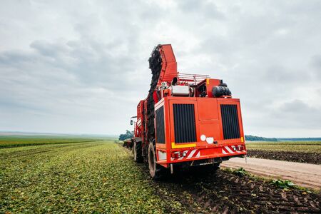 Potato harvester and tractorの写真素材