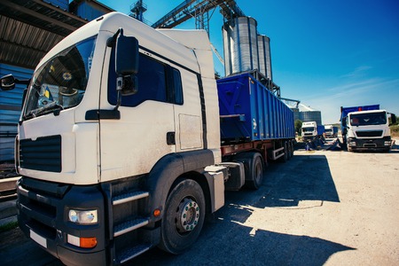 Set of storage tanks cultivated agricultural crops processing plの写真素材